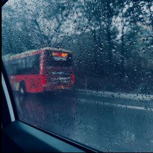 米塔光溜溜图片
