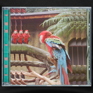 米塔光溜溜图片
