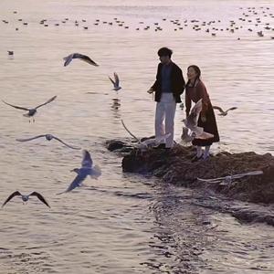 米塔光溜溜图片
