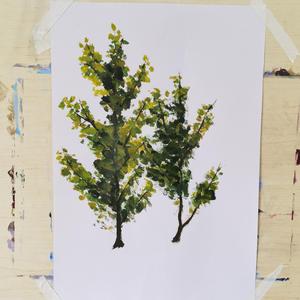 米塔光溜溜图片
